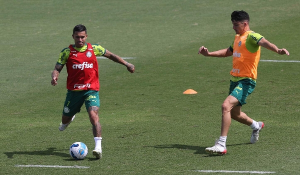 Palmeiras e Flamengo buscam hoje a segunda vitória na Libertadores da América