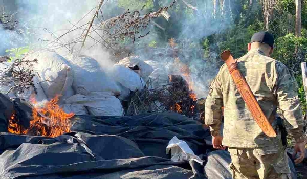 Com novas investidas em fazendas na fronteira, polícia destrói 30 toneladas de maconha