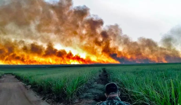 Combate a incêndios florestais em MS terá reforço de equipes temporárias de brigadistas