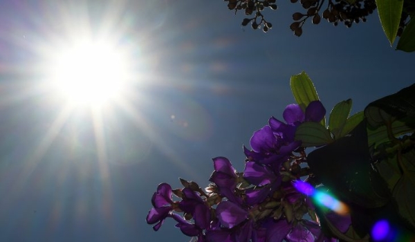 Sábado será de sol e tempo seco em Mato Grosso do Sul