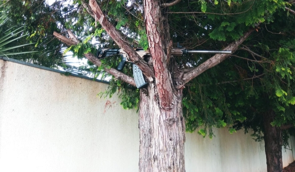 Arma de alto calibre é abandonada em árvore após ataque a empresa de valores, em Guarapuava