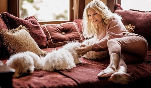 Clonagem de pets: por que tem gente pagando até R$ 200 mil para ter um clone do seu bichinho?