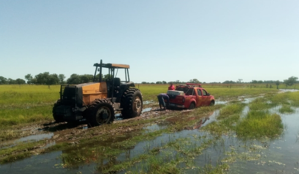 Bombeiros e cadela farejadora Cindy buscam por homem que sumiu no Pantanal