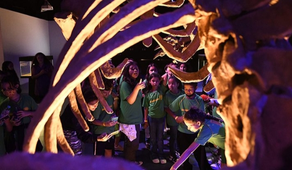 Nesta terça-feira, público geral terá a chance de conhecer o Bioparque Pantanal