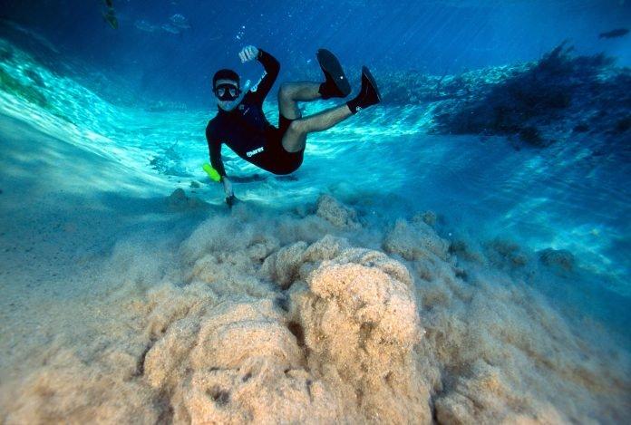 Bonito deve retomar atividades em junho com descontos até o final do ano