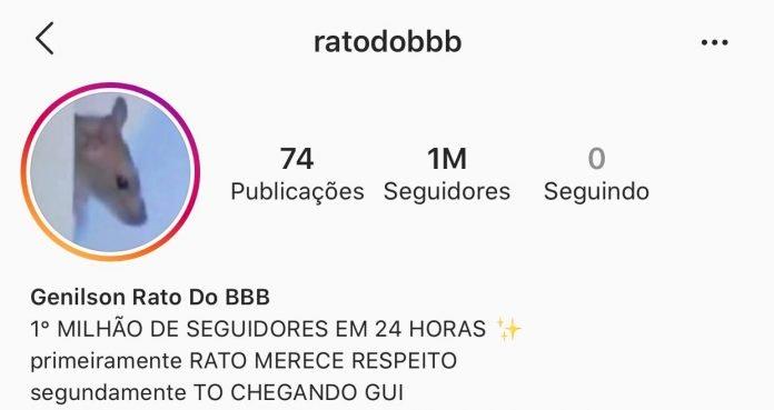 Rato do BBB bate 1 mi de seguidores em 24h