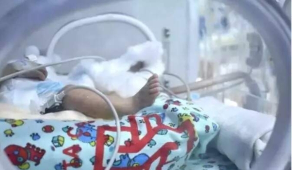 Recém-nascida internada após perder a mãe pode ser adotada por morador de SC