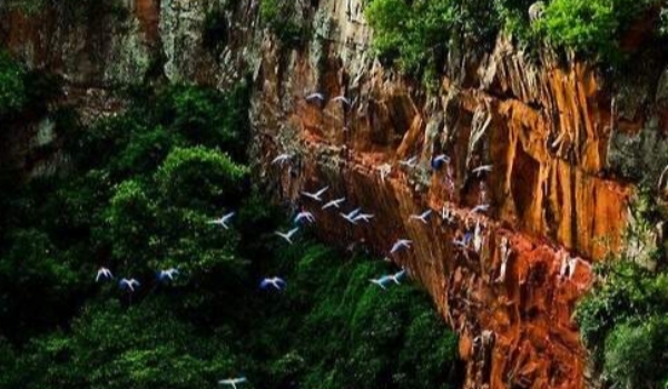 Jardim comemora 76 anos de fundação com show de Munhoz e Mariano