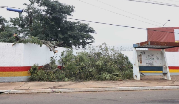 Após temporal de fim de semana, 7 bairros ainda continuam sem energia