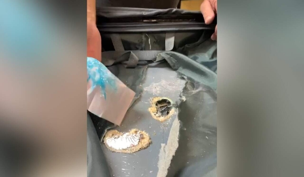 De Campo Grande, PF em SP intercepta malas recheadas com 25 quilos de cocaína