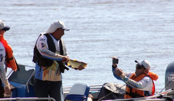 Festival de Pesca de Corumbá tem 121 peixes capturados e dourado é o destaque