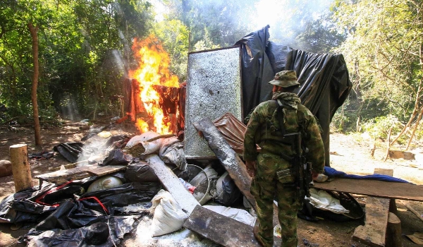 Em oito dias, operação já eliminou 672 toneladas de maconha na fronteira