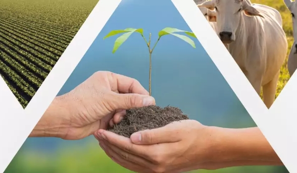 Prefeitura de Caracol e CONAFER assinam acordo para execução do programa Mais Pecuária Brasil