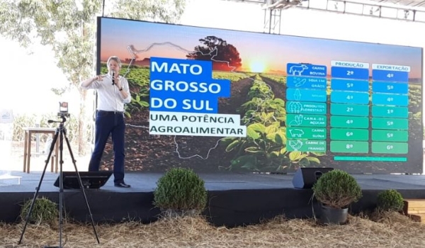 Showtec: área ocupada por soja em Mato Grosso do Sul deve crescer 22% em três anos, aponta estudo