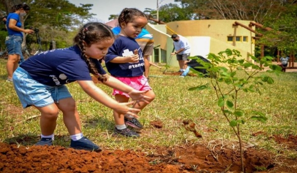 Em comemoração ao Dia do Meio Ambiente, 123 mudas de Ipês serão plantadas no Parque dos Poderes