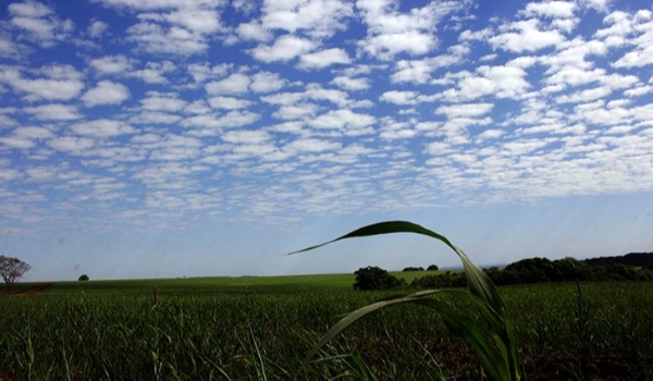 Domingo tem previsão de tempo firme, com pequena elevação da temperatura no Estado
