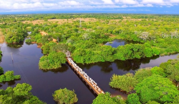 Exemplo em sustentabilidade e descarbonização na produção, Mato Grosso do Sul sedia Agenda Verde do Agro