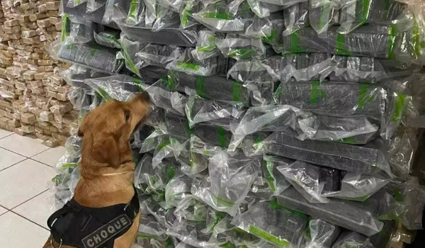 Cão fareja 537 kg de maconha avaliados em R$ 885 mil em caminhão de mudança