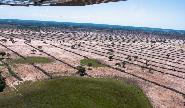 Da ficção à realidade, clamor é que lavouras de soja não avancem no Pantanal