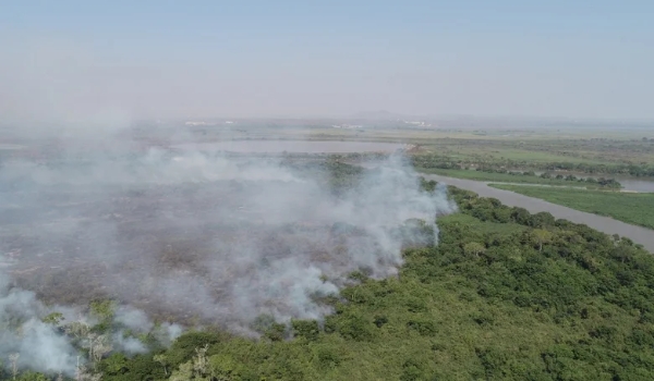 Com clima cada vez mais seco, governo proíbe queimadas controladas