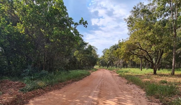 Bonito recebe R$ 1,5 milhão do Governo do Estado para restaurar estrada que leva a trilhas e cachoeiras