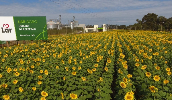 Parceria entre Prefeitura de Bela Vista e Lar começa a florecer