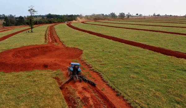 Governo defende ampliação nas linhas de crédito para investimentos no setor rural
