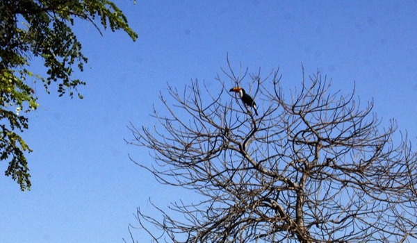 Sábado será de sol e leve mudança no clima no interior do Estado