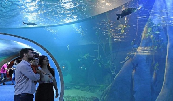 Para aprimorar uma experiência única ao público, Bioparque Pantanal traça perfil dos visitantes