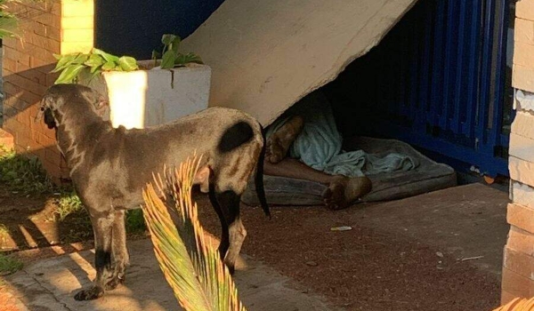 Morador de rua suspeito de furtos é executado enquanto dormia na fronteira