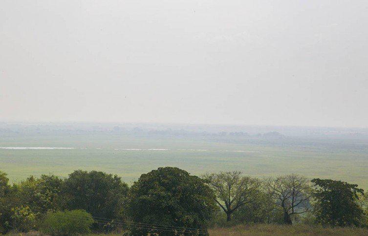 Chuva forte é esperança para fim das queimadas no Pantanal