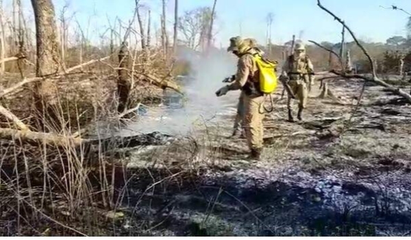 Operação ganha reforço de aeronave no combate aos incêndios no Pantanal