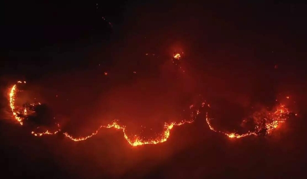 Fazendeiro denunciado por origem de fogo no Pantanal em 2020 nega acordo com MPF