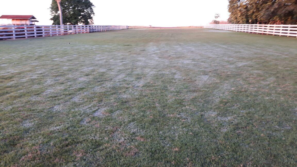 Ao menos 7 municípios de MS registram geada