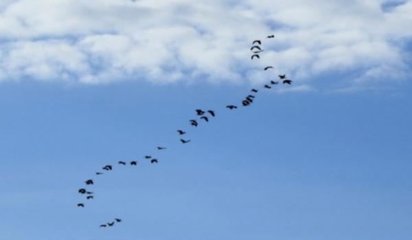 Domingo será de sol e tempo seco em Mato Grosso do Sul, aponta previsão