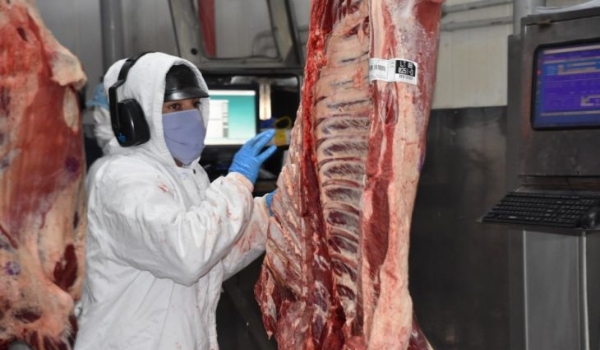 Mercado de carnes continua aquecido em MS e exportações cresceram quase 50% este ano