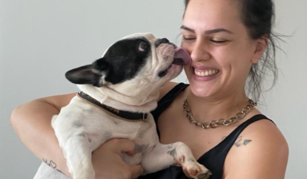 Veja 10 motivos para você castrar seu pet macho