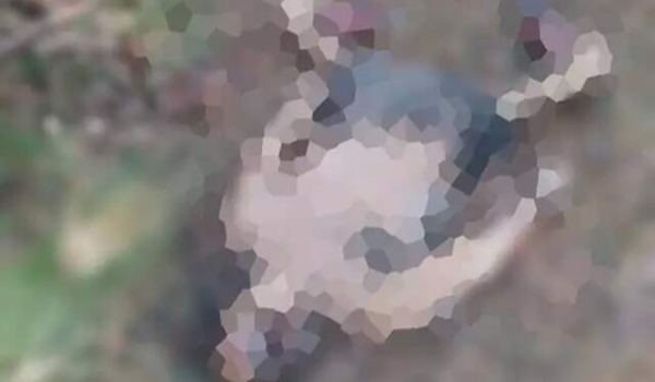 Mãe fará exame de DNA para identificar se corpo boiando é do filho desaparecido