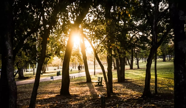 Passagem de frente fria pode trazer pancadas de chuvas a MS nesta quinta-feira