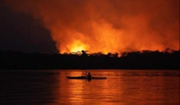 Sinfonia da Sobrevivência: documentário retratará queimadas de 2020 no Pantanal