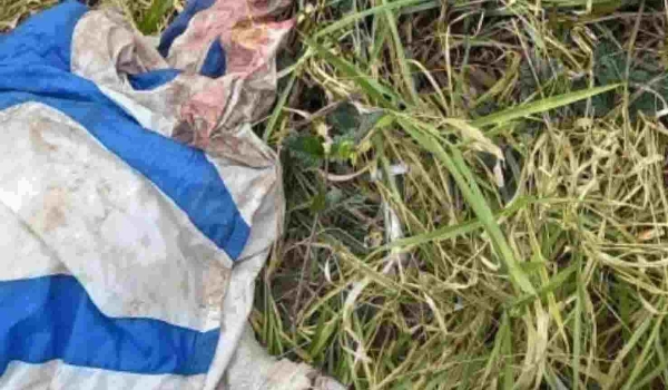 Corpo é encontrado em meio a restos bovinos na fronteira de MS