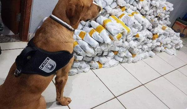 Dono de empresa de transporte desconfia de carga e PM encontra maconha avaliada em R$ 640 mil