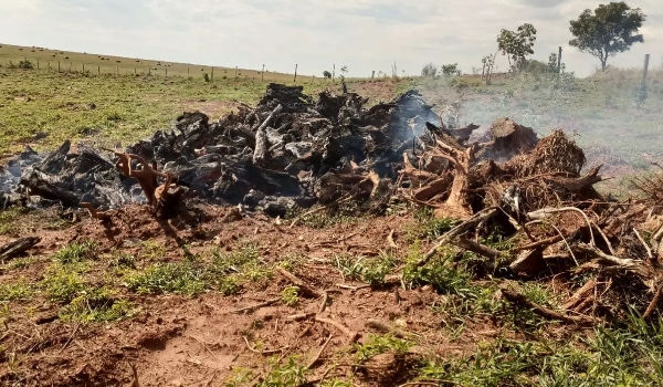 Polícia autua proprietário rural por incêndio em leiras durante operação