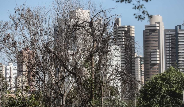 Inmet alerta para vendaval de até 60 km/h e baixa umidade em MS