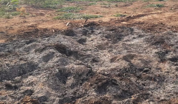 Em 24 horas, PMA aplica mais de R$ 20 mil em multas por crimes ambientais