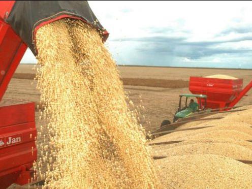 Agronegócio sustenta o crescimento das exportações
