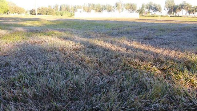 Cidades registram geada e sensação térmica chega a -2ºC