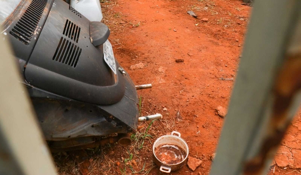 Polícia resgata pitbulls que passavam fome e comeram outro cão