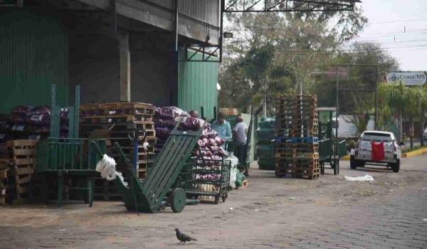Ministério da Agricultura monta estratégia pública para combater desperdício de alimentos