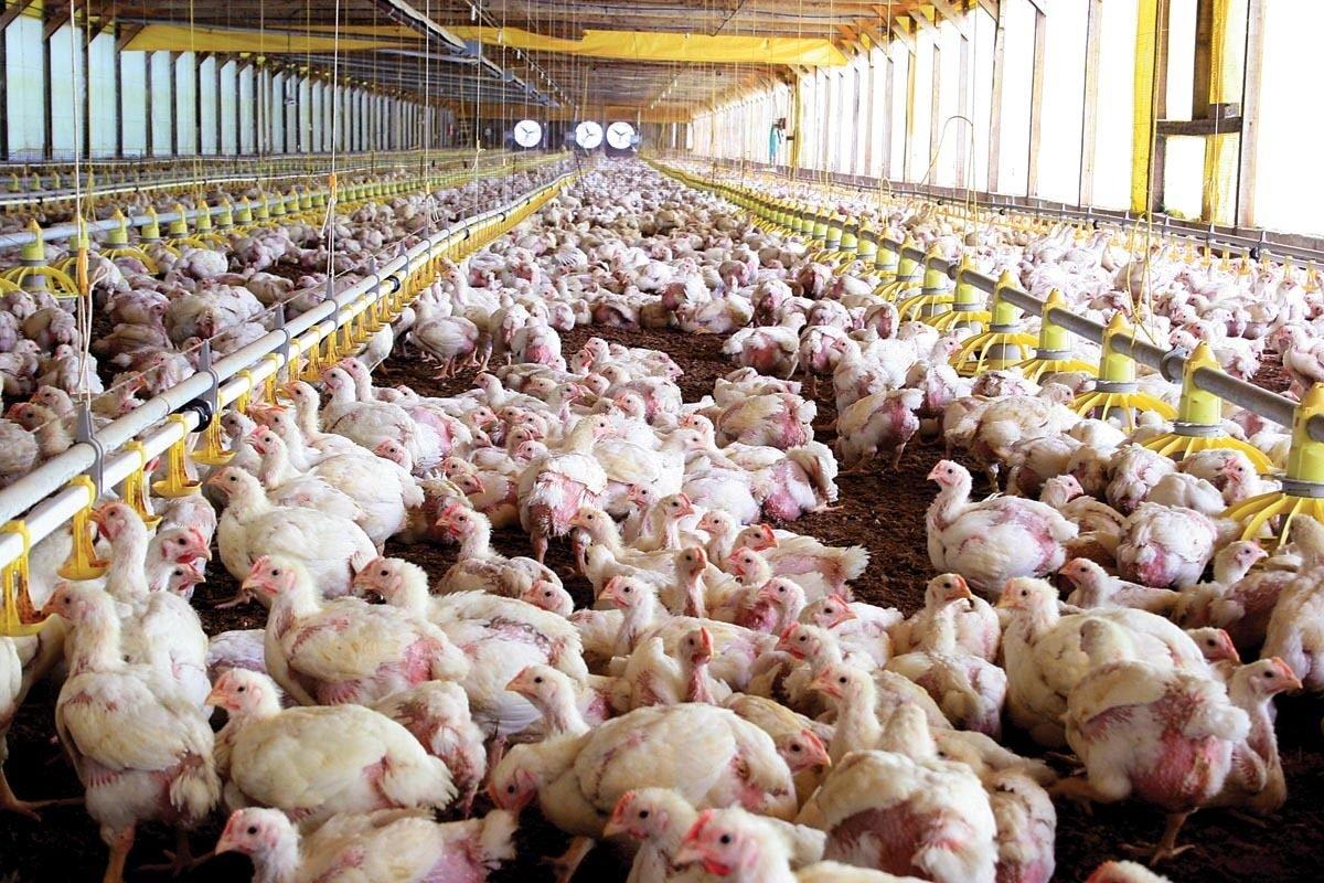 MS terá R$ 146,1 milhões pelo FCO para 95 empreendimentos